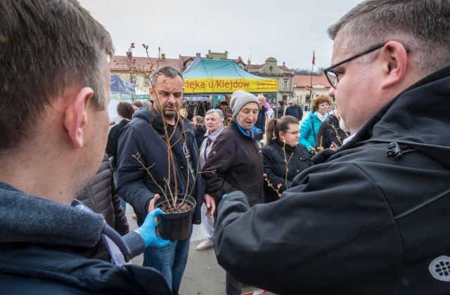 Drzewa za makulaturę - V Piknik Ekologiczny za nami