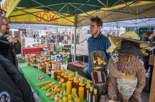 Drzewa za makulaturę - V Piknik Ekologiczny za nami
