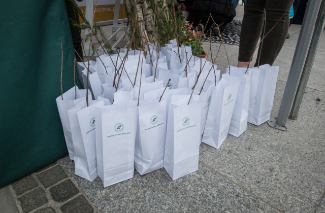 Drzewa za makulaturę - V Piknik Ekologiczny za nami