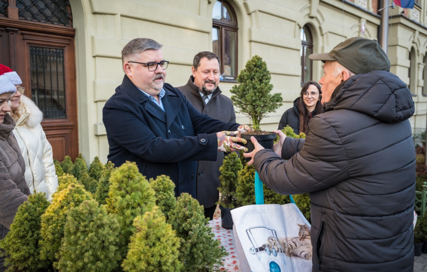 Ponad 500 naturalnych choinek za makulaturę – ekologiczna akcja starostwa