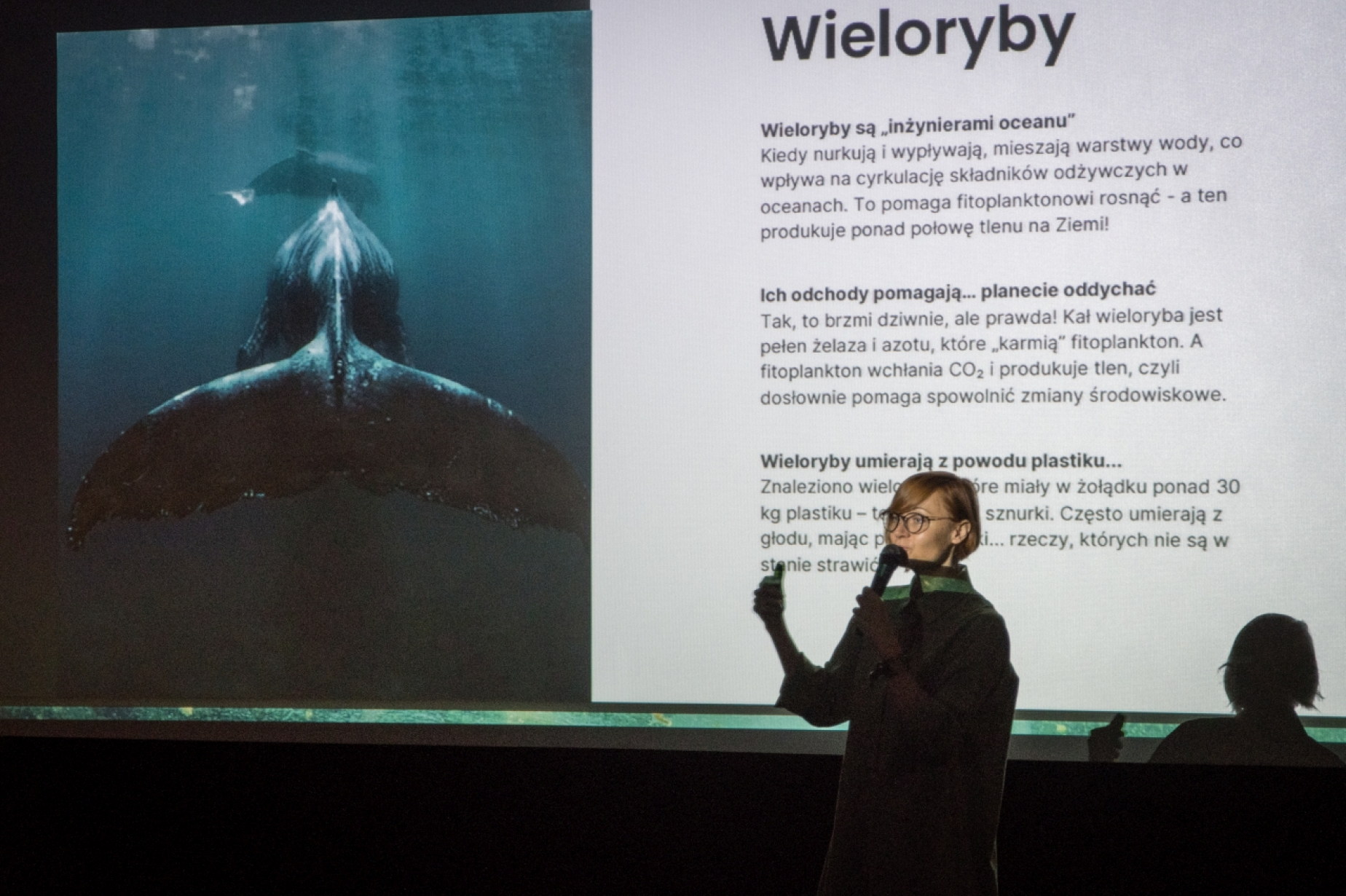 Pieśń wielorybów – relacja z II Festiwalu Filmów Ekologicznych