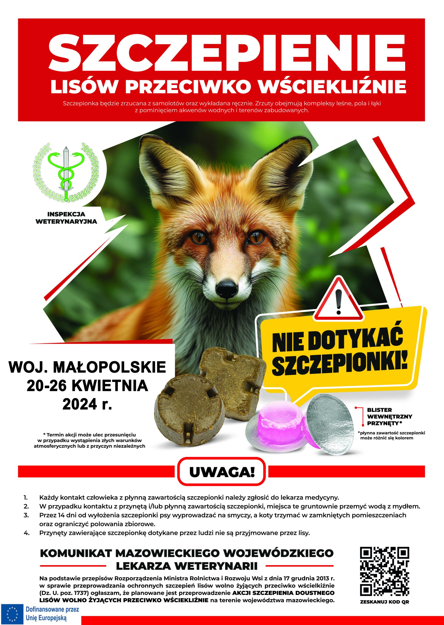 Wiosenna akcja ochronnego szczepienia lisów przeciwko wściekliźnie.