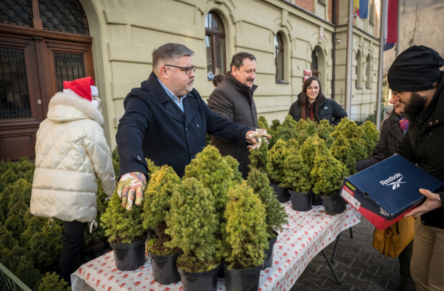 Ponad 500 naturalnych choinek za makulaturę – ekologiczna akcja starostwa