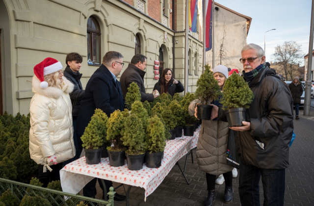 Ponad 500 naturalnych choinek za makulaturę – ekologiczna akcja starostwa