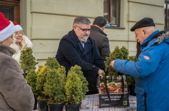 Ponad 500 naturalnych choinek za makulaturę – ekologiczna akcja starostwa