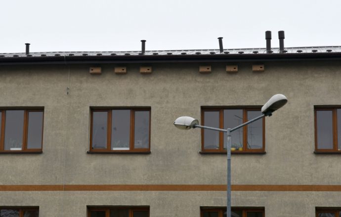 Budki dla ptaków na budynku Starostwa