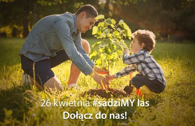 Odbierz sadzonkę i posadź dzewo