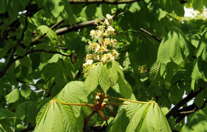 Wyniki matur w Powiecie Bocheńskim