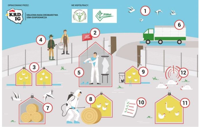 Grypa ptaków wciąż groźna - apel do hodowców drobiu !