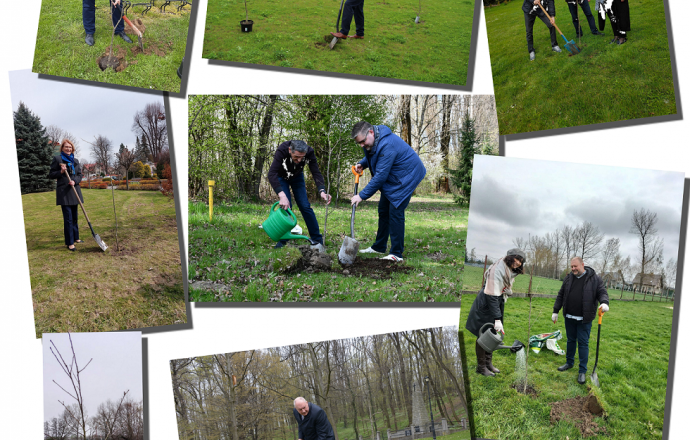 Starosta, Burmistrzowie i Wójtowie posadzili drzewo dla klimatu