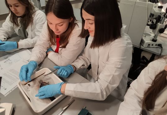 Małopolska Chmura Edukacyjna w I LO