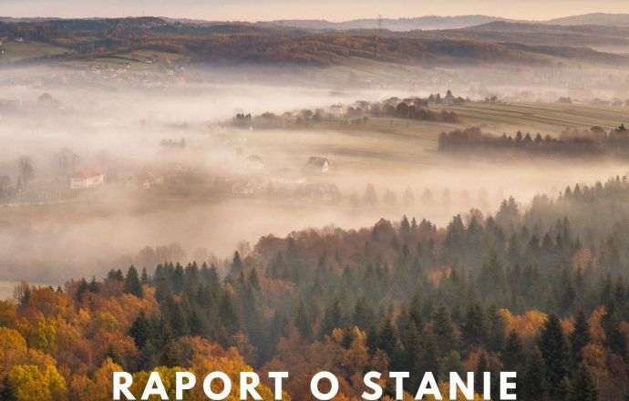 Raport o stanie powiatu